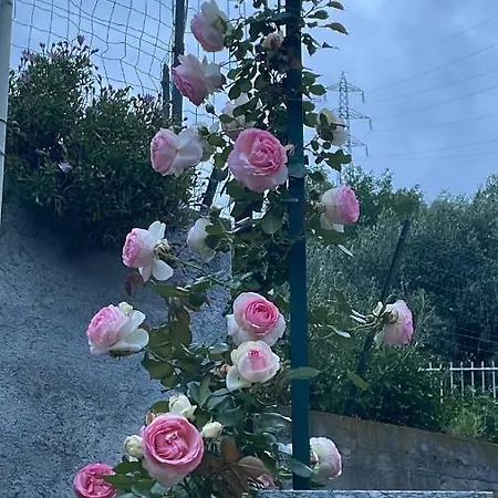 Bed & Breakfast Gli Agrumi Giustenice