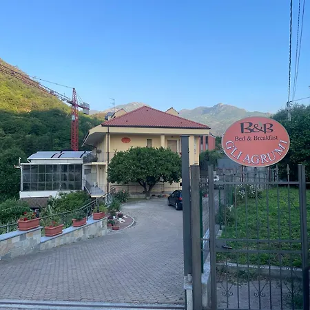 Gli Agrumi